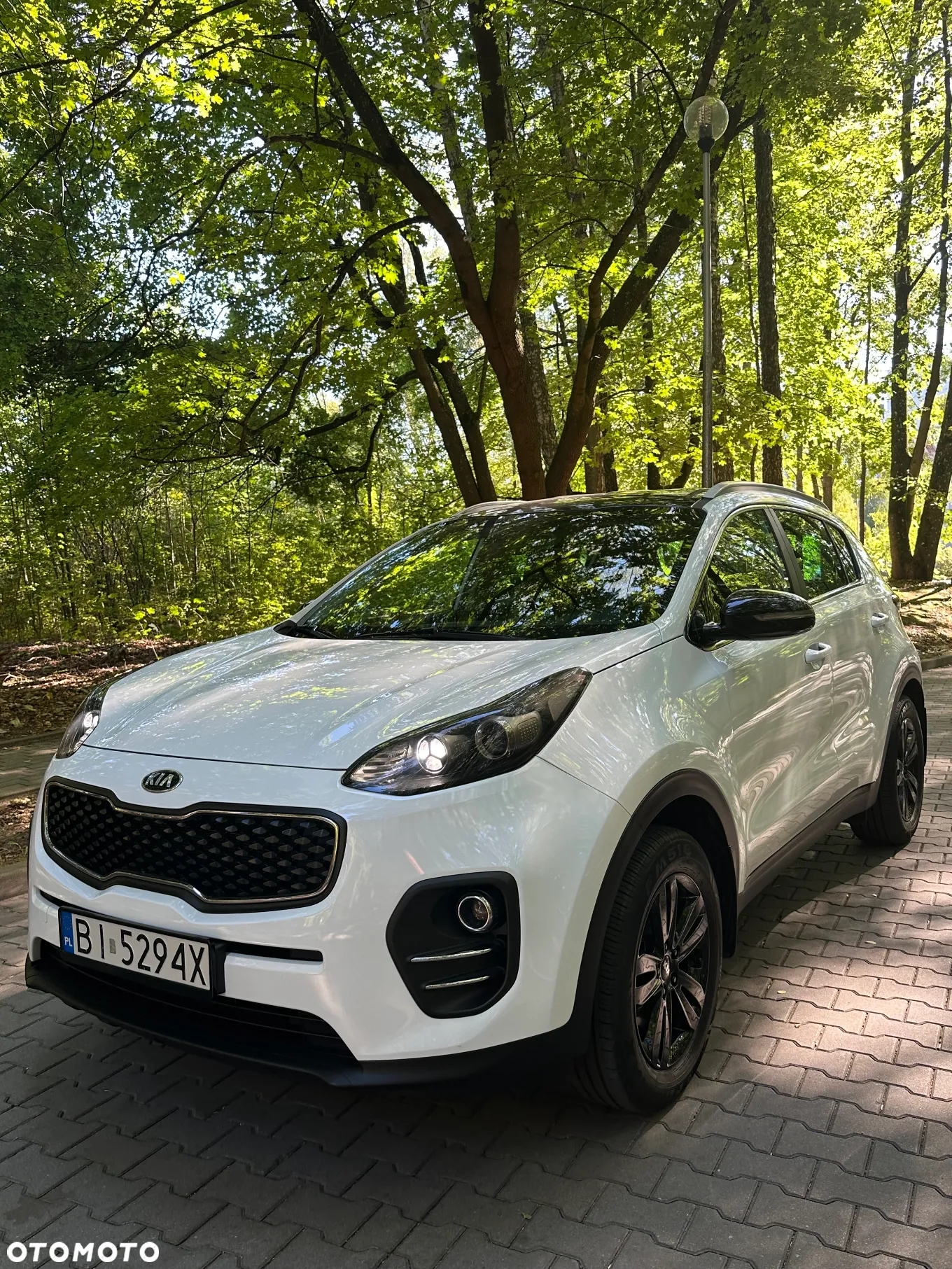 Kia Sportage 1.6 GDI Business Line 2WD - 3