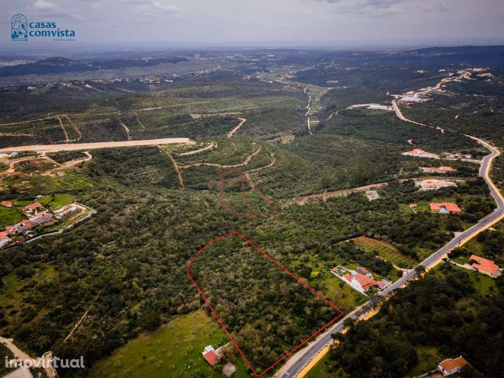 Terreno de 20.000 m² em Fátima | Junto à Igreja Matriz | 5.000 m² C... - Grande imagem: 3/12