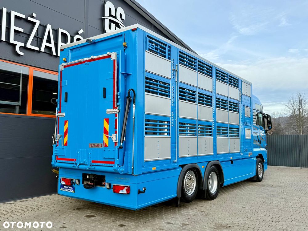MAN TGX 26.540 // E6 // Zabudowa PEZZAIOLI // 3 poziomy hydraulika, podnoszony dach, rampa hydrauliczna // do żywca, do bydła, do transportu zwierząt - 5