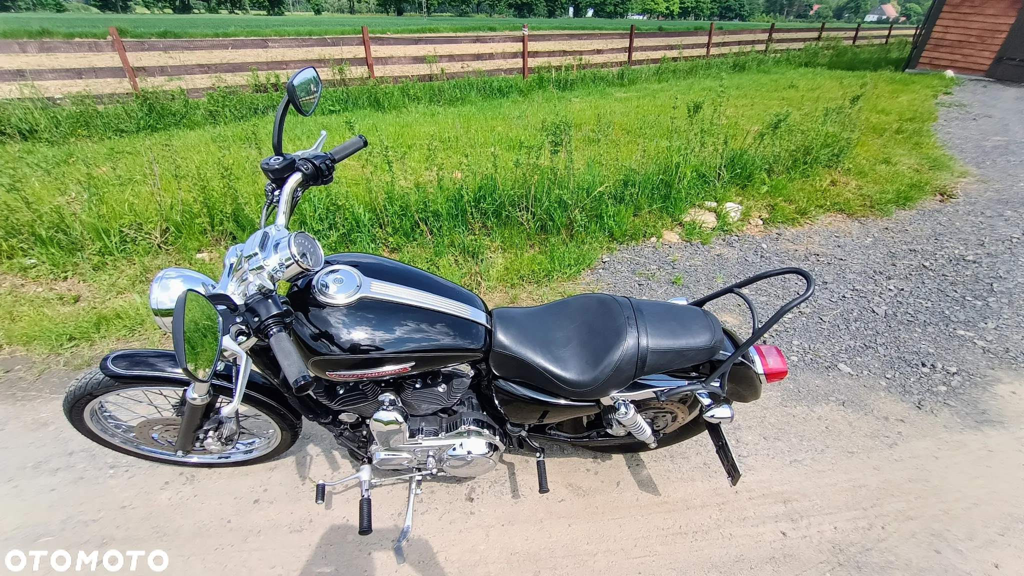 Harley-Davidson Sportster Custom 1200C - 5