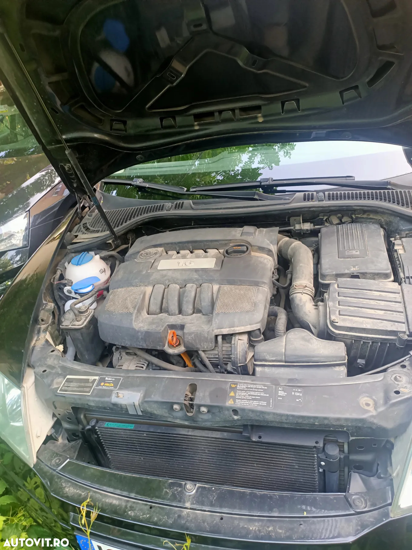 Skoda Octavia 1.6 Elegance - 12