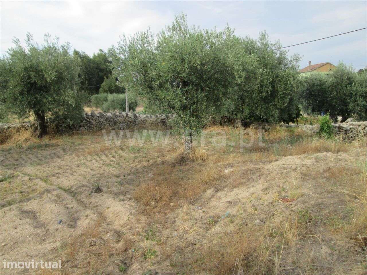 Terreno com ruina / Covilhã, Peraboa - Grande imagem: 2/13