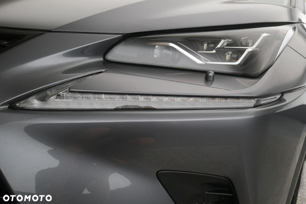 Lexus NX - 13