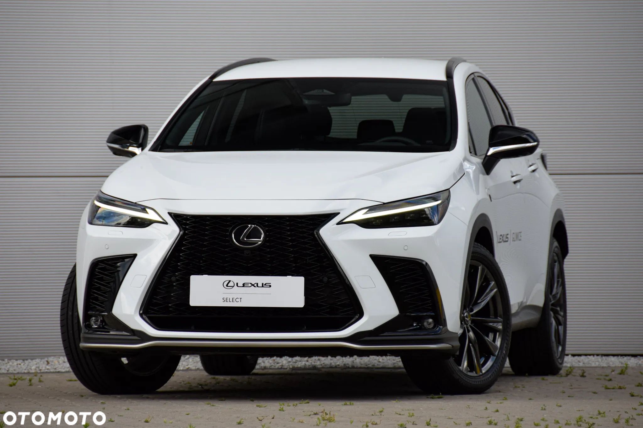 Lexus NX 450h+ F Sport AWD - 1