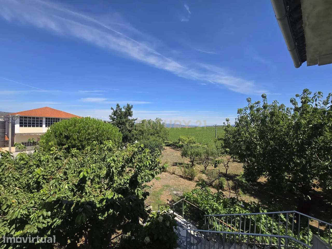 Quinta Típica em São João da Pesqueira com Vista Panorâmica - Grande imagem: 5/31