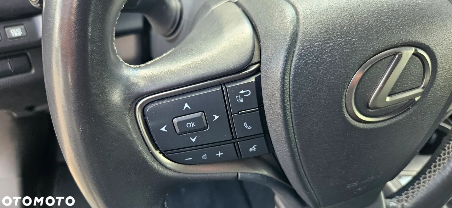 Lexus UX 250h - 28