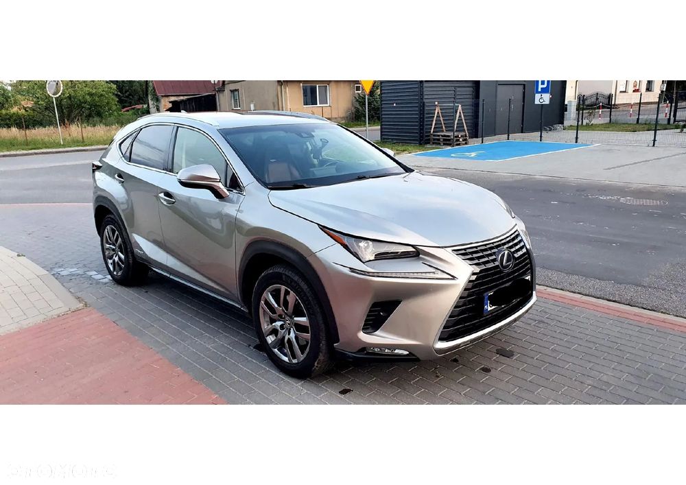 Lexus NX 300h Comfort AWD - 6
