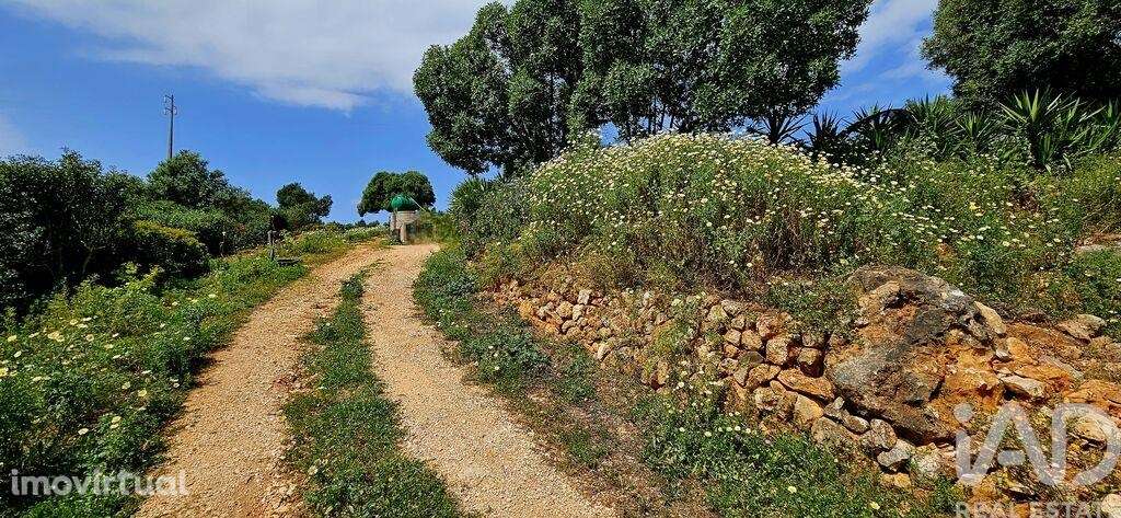 Terreno em Barão de São Miguel - Grande imagem: 3/35
