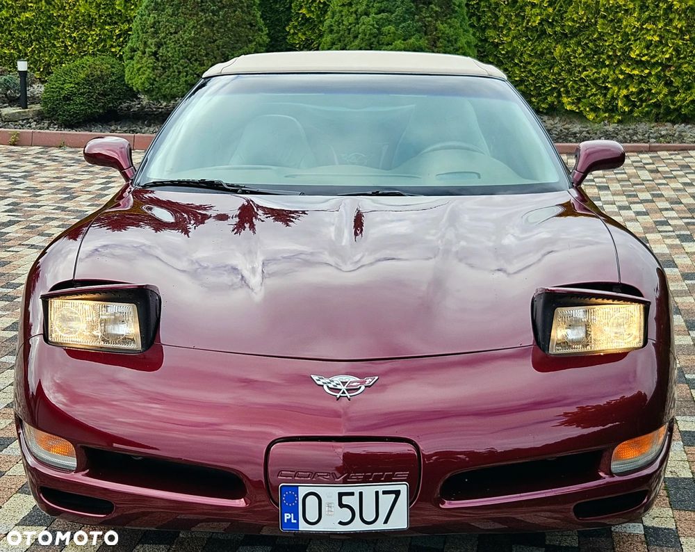 Chevrolet Corvette - 11