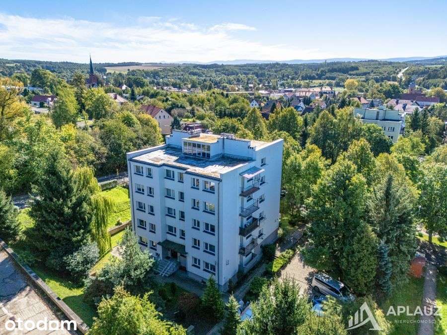 Mieszkanie na sprzedaż, 3 pokoje, 48 m², Olszyna