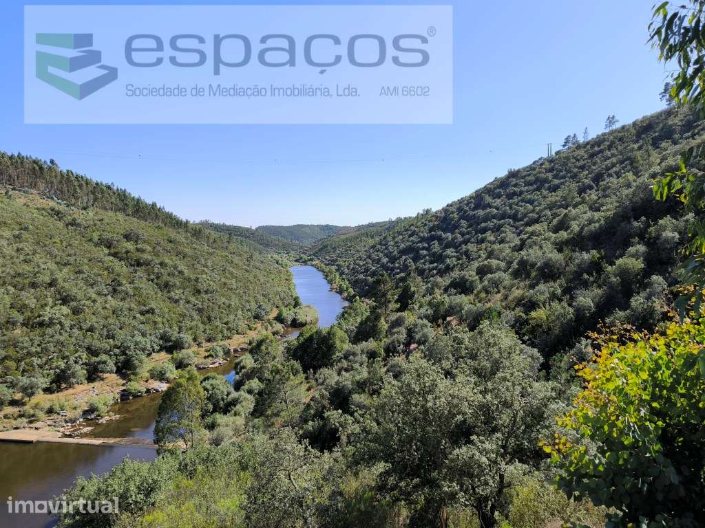 Olivar tradicional a confinar com o rio - Grande imagem: 3/7