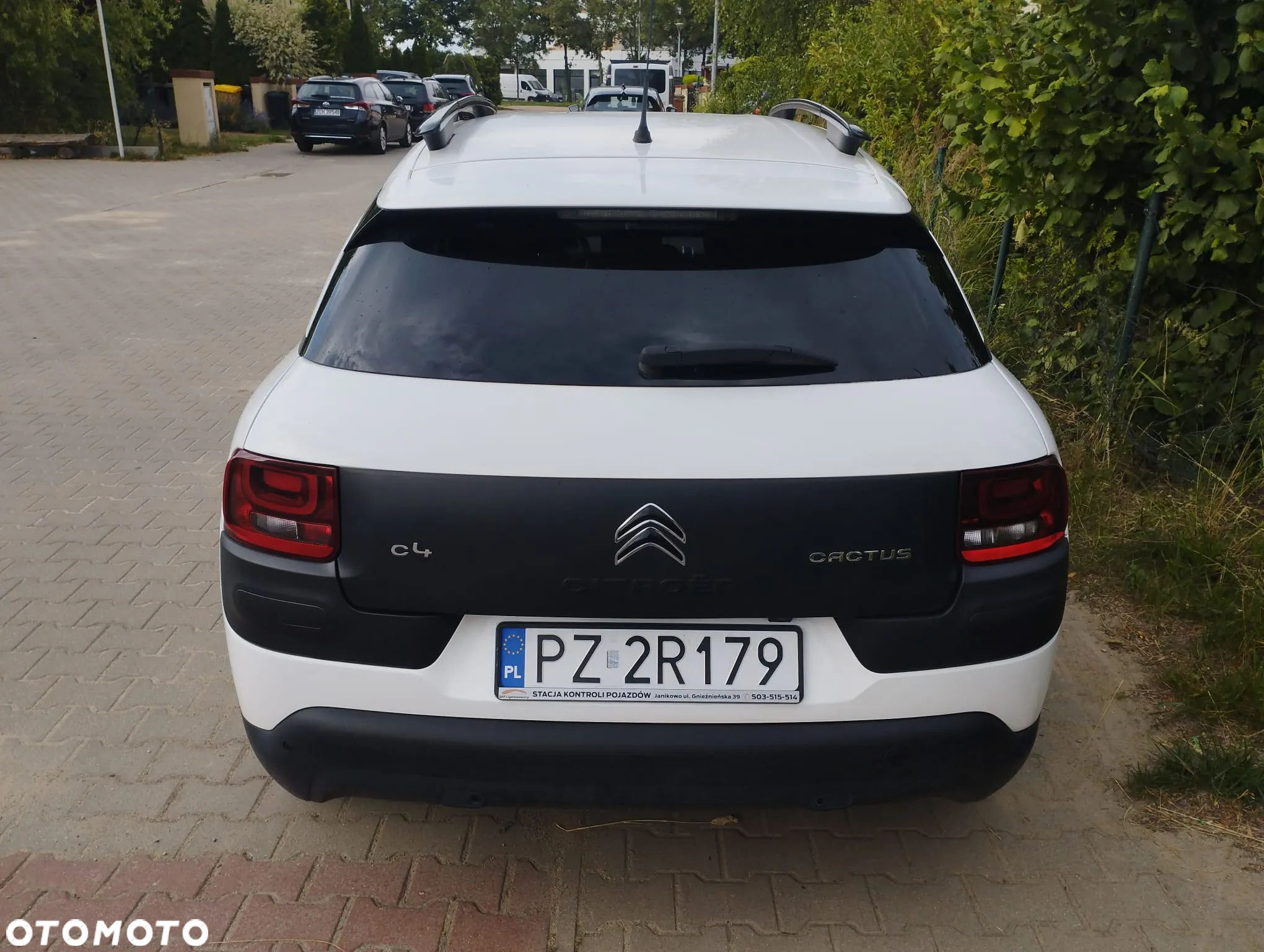Citroën C4 Cactus 1.2 PureTech Shine S&S - 12