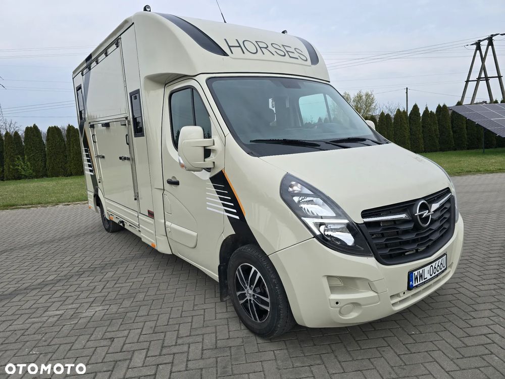 Opel Movano-Koniowóz - 3