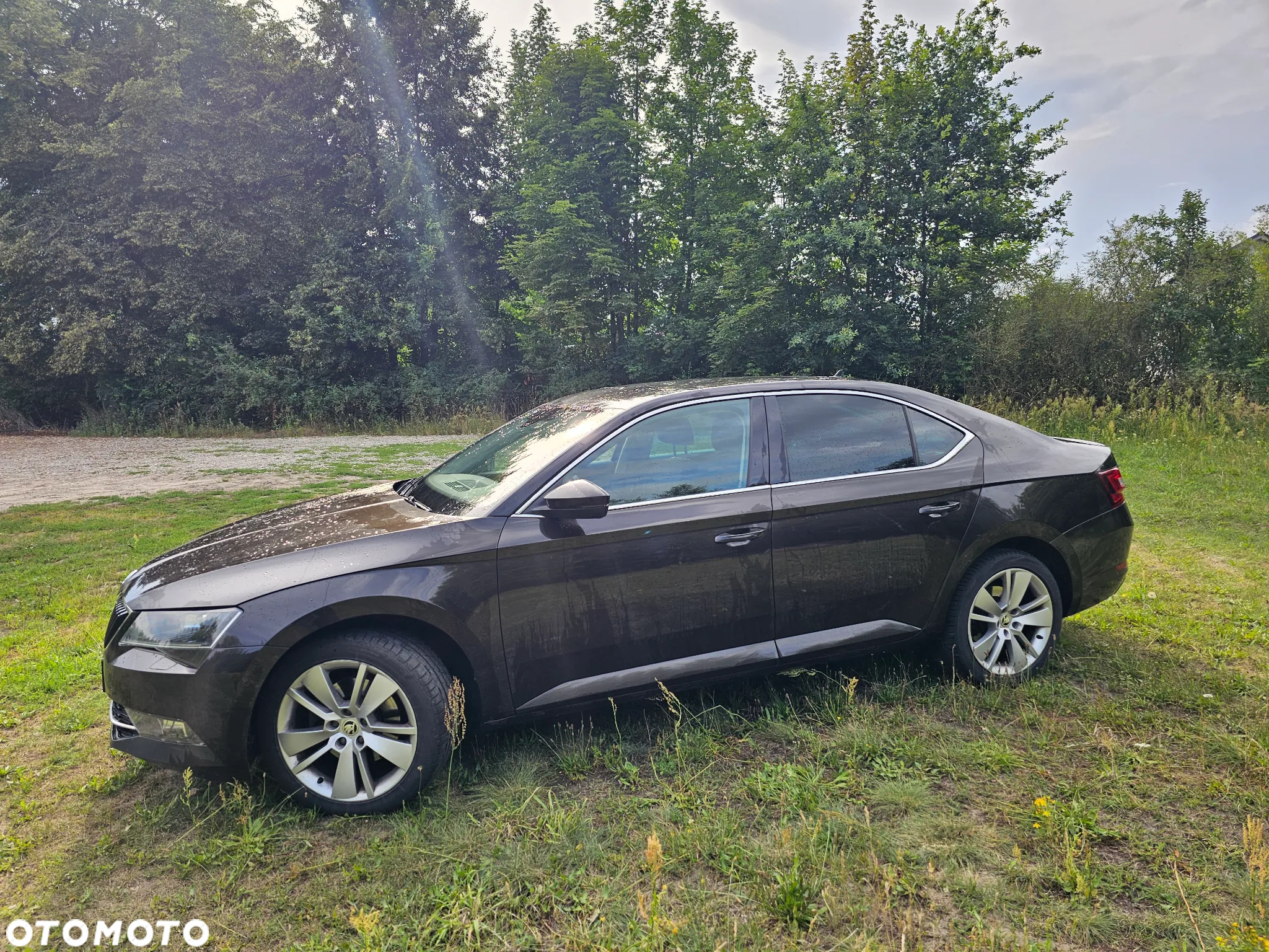 Skoda Superb 2.0 TDI 4x4 Style DSG - 2