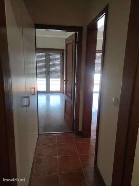 T0+1 Aveiro Glicinias - Grande imagem: 4/8