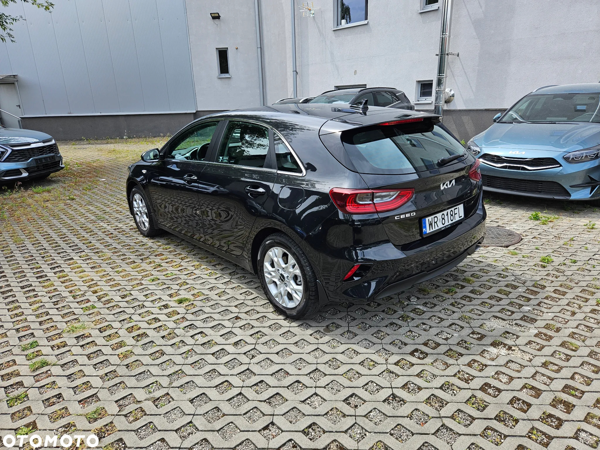 Kia Ceed 1.5 T-GDI M - 3