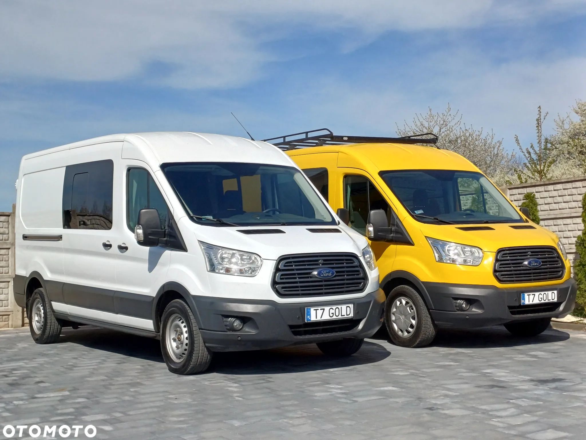 Ford Transit - 1