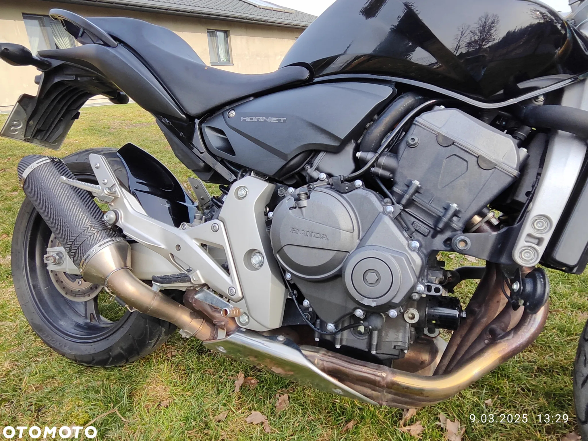 Honda Hornet - 4