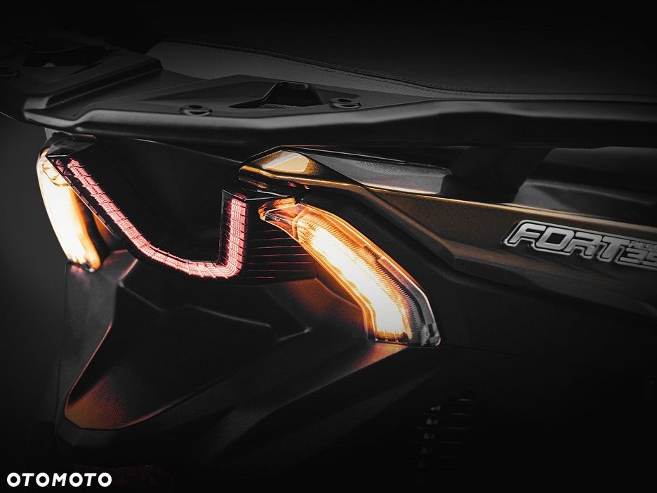 QJMOTOR FORT 350 - 13