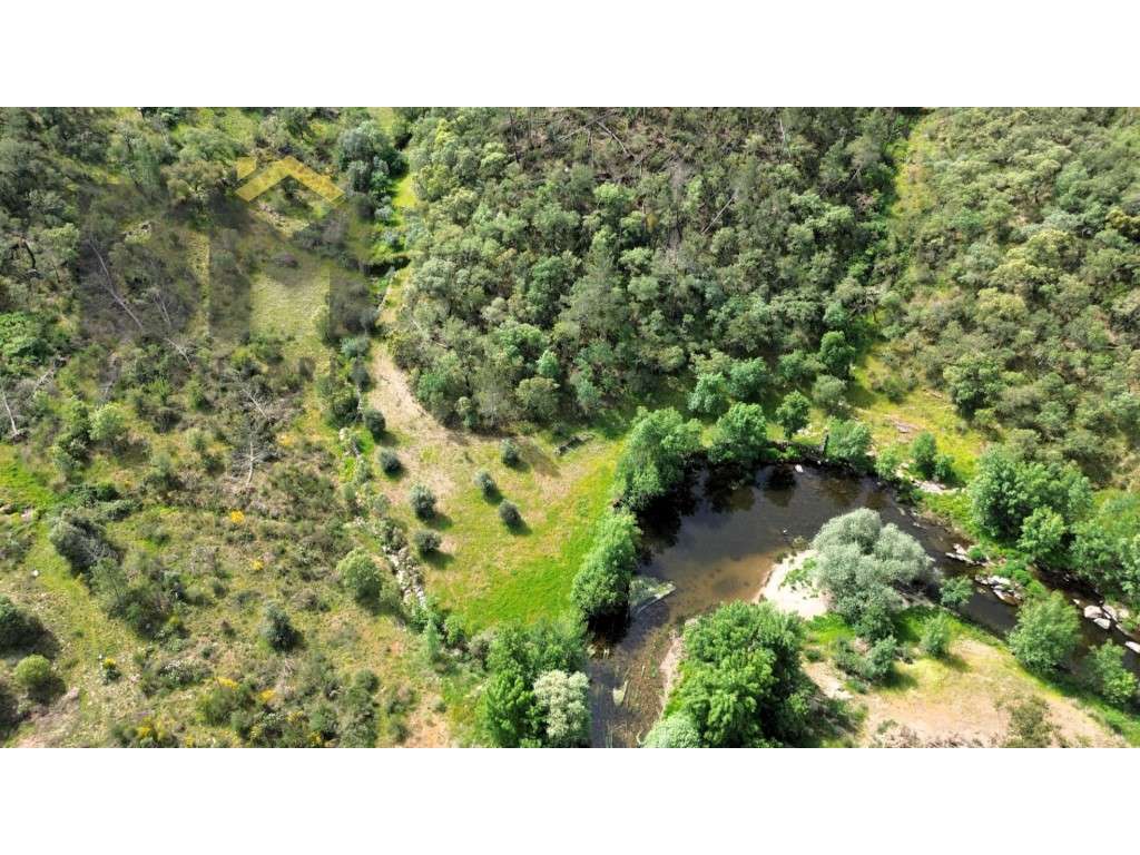 Terreno rústico com 34.320 m² para venda, localizado nas proximidad... - Grande imagem: 2/11