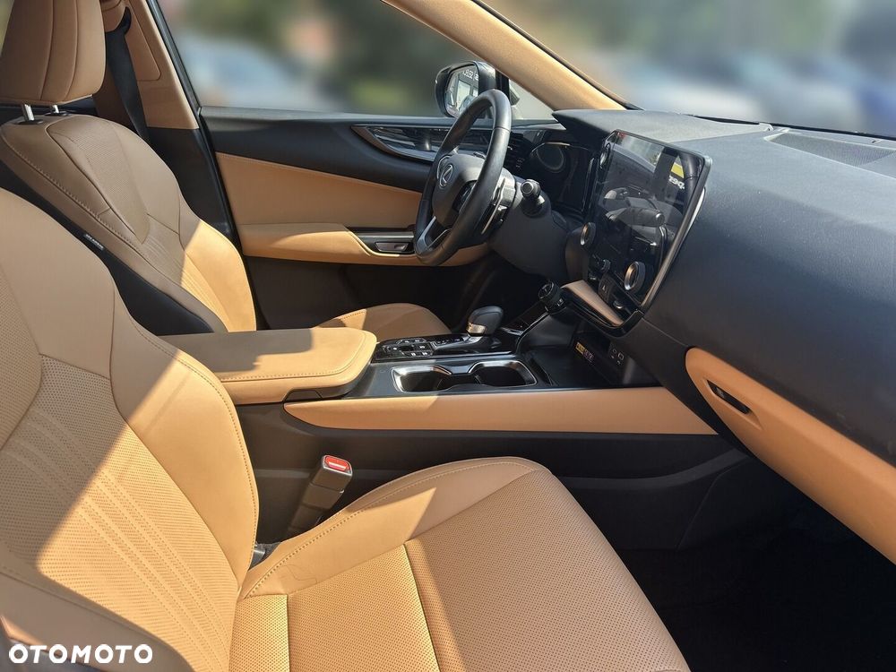 Lexus NX - 10