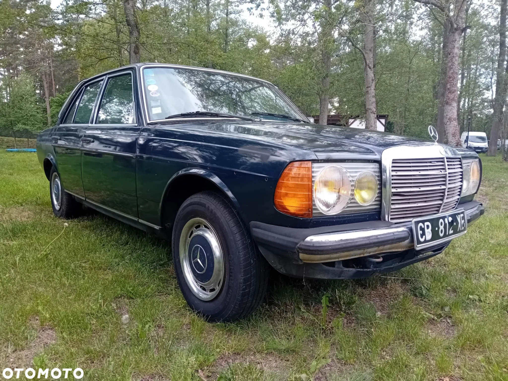 Mercedes-Benz W123 - 2