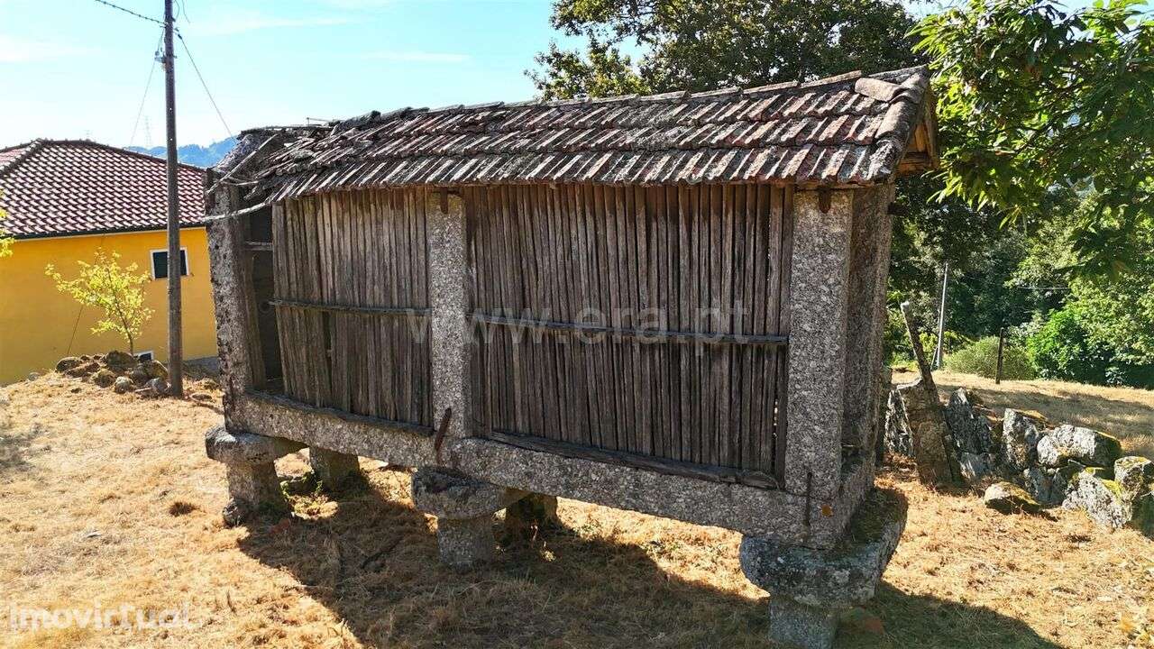 Terreno com ruina / Baião, Campelo e Ovil - Grande imagem: 2/10