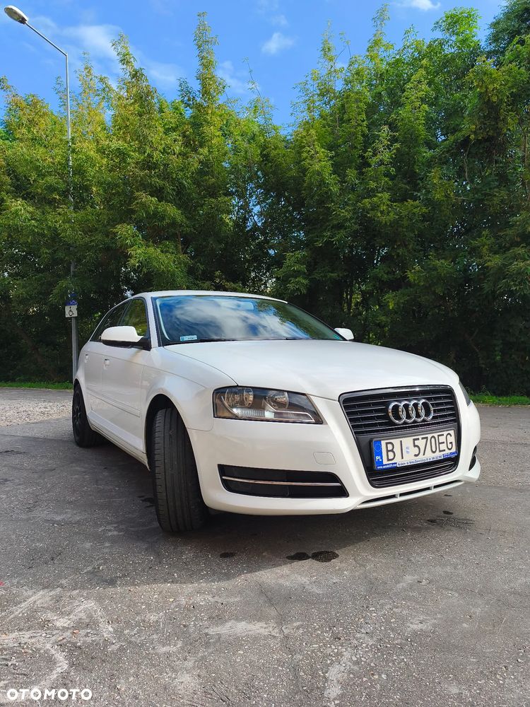 Audi A3 Sportback 1.6 Attraction - 3