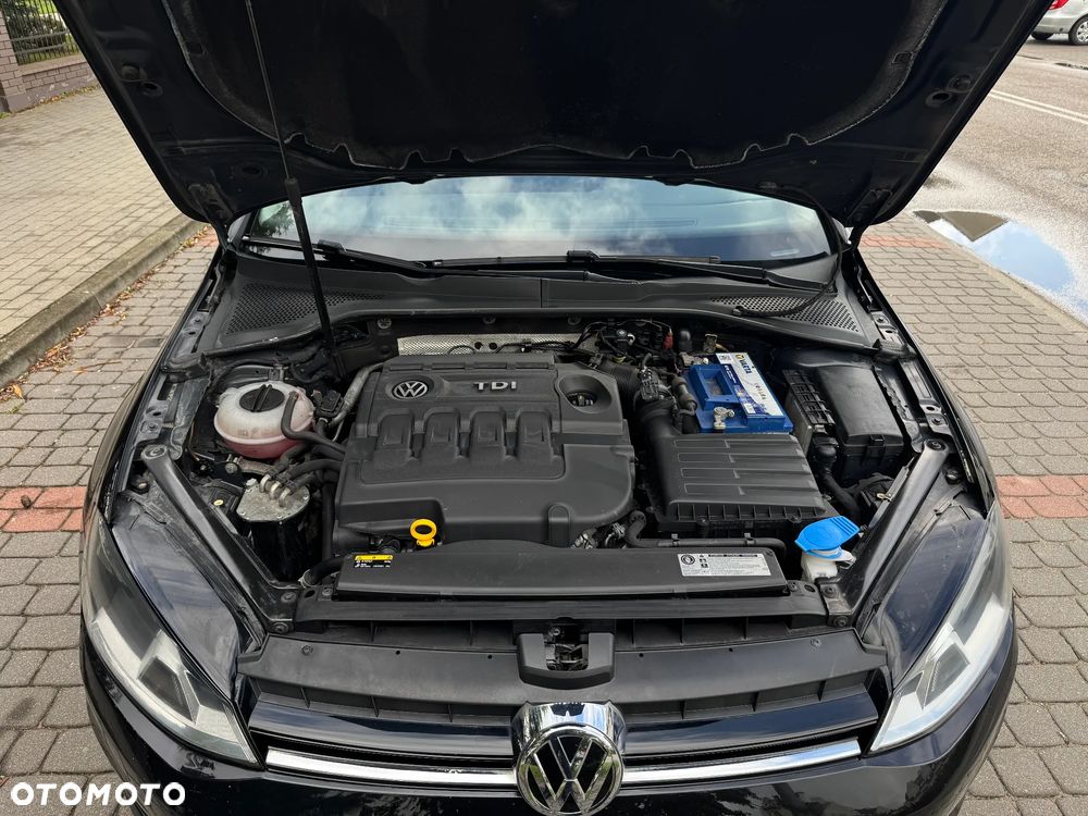 Volkswagen Golf VII 1.6 TDI BMT Highline - 17