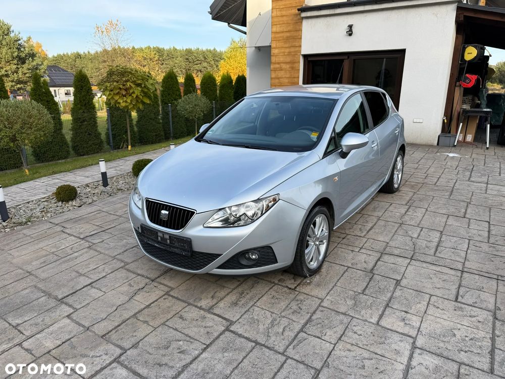 Seat Ibiza 2010 photo 2