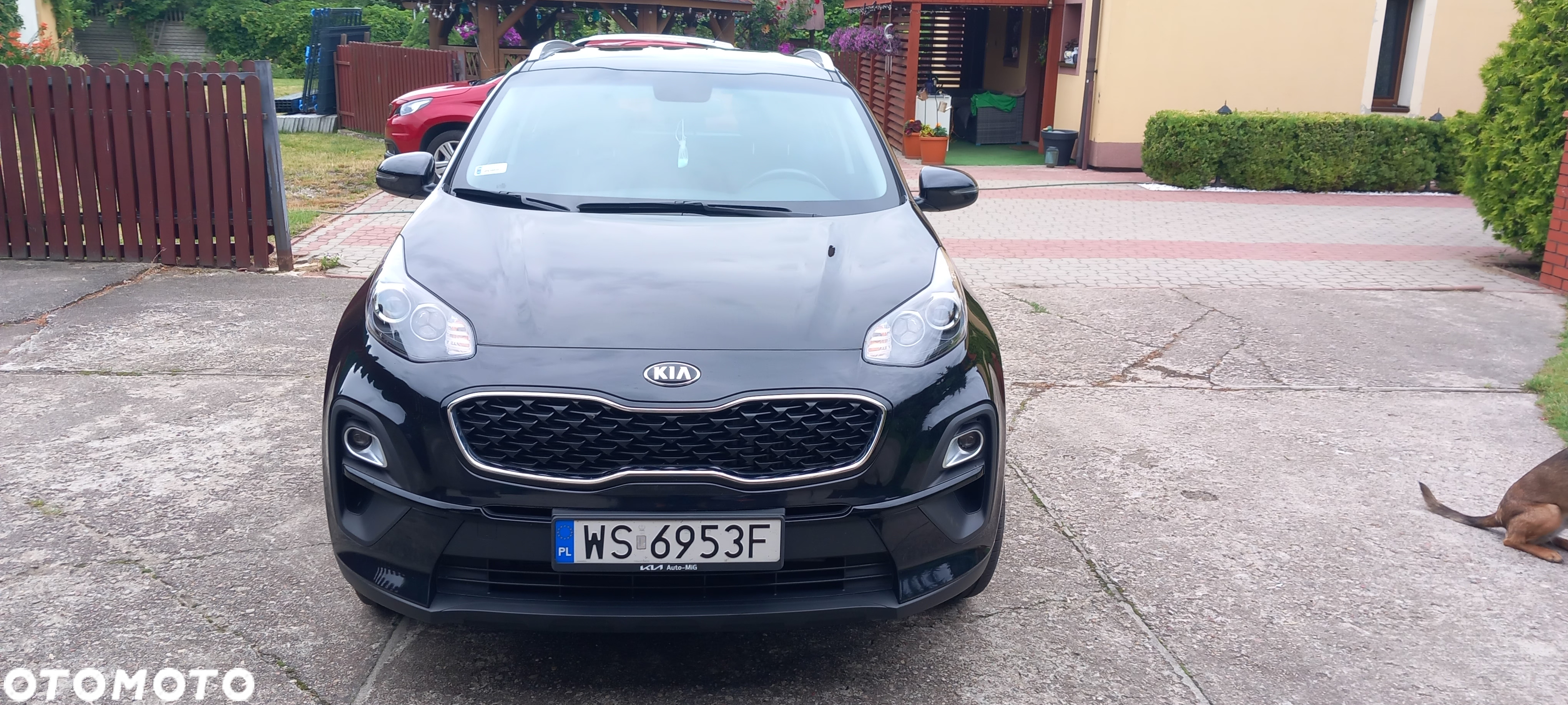 Kia Sportage 1.6 CRDI M 2WD - 2