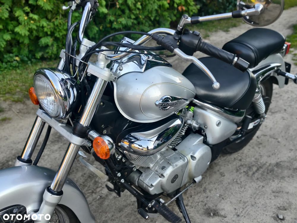Suzuki Intruder - 16