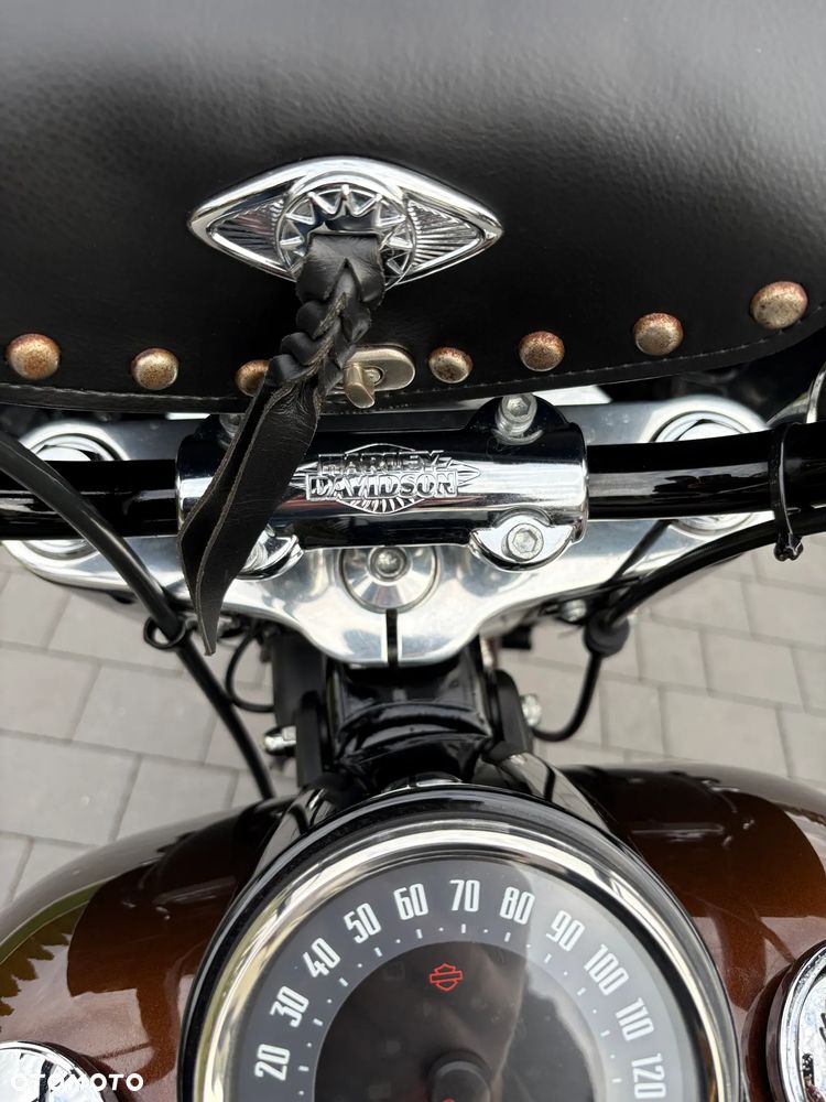 Harley-Davidson Softail Heritage Classic - 15