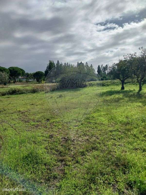 Terreno  para venda - Grande imagem: 2/4