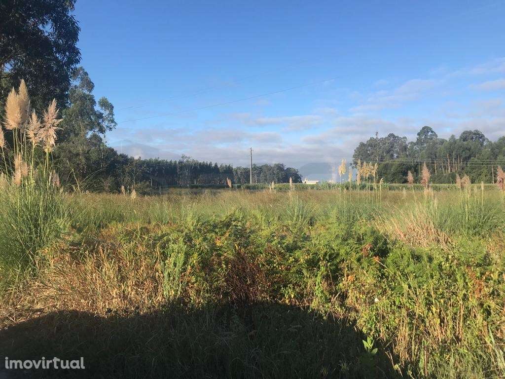 Terreno para construção - Estarreja - Grande imagem: 4/8