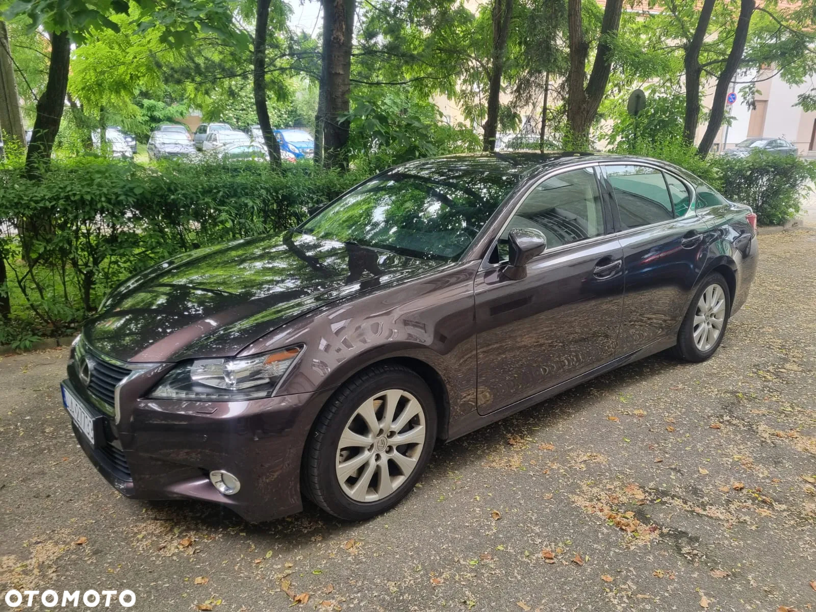 Lexus GS 250 Elegance - 7
