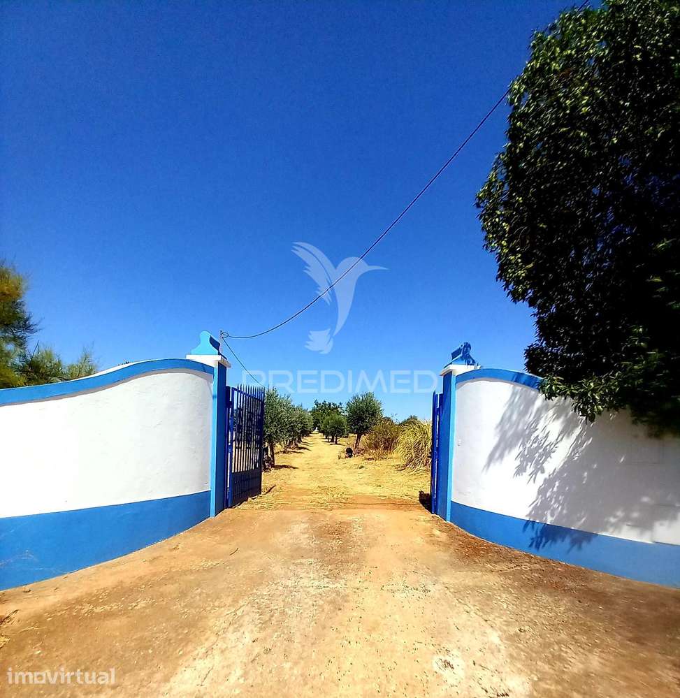 Quinta no Alentejo - Grande imagem: 2/40