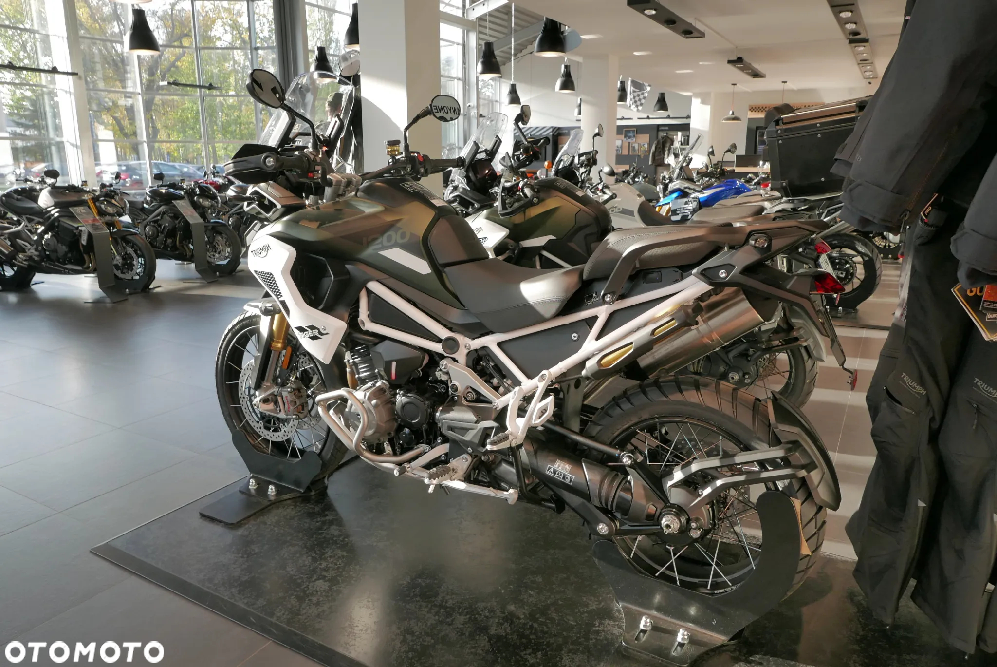 Triumph Tiger - 6