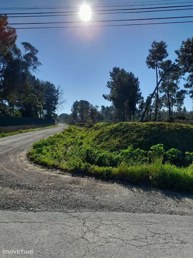 Azeitão Terreno com 10500 M2 de gaveto. - Grande imagem: 3/11
