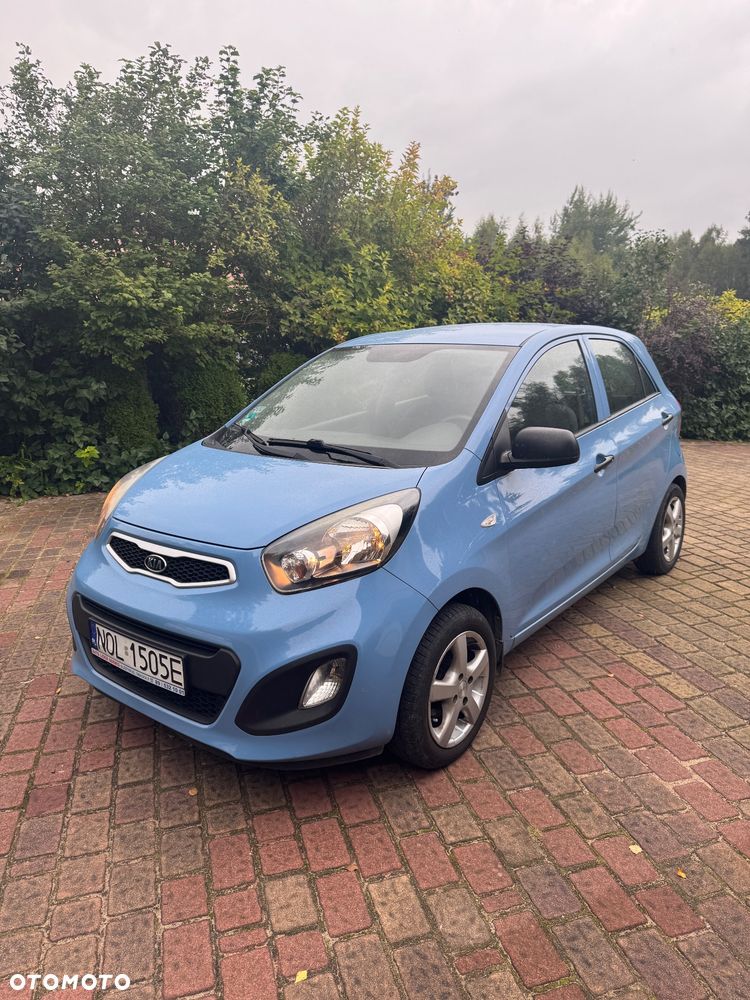 Kia Picanto - 5