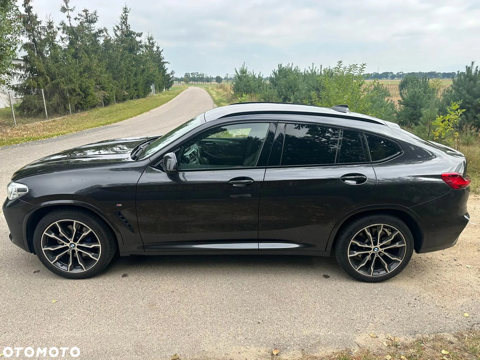 BMW X4 xDrive30d Advantage sport - 5