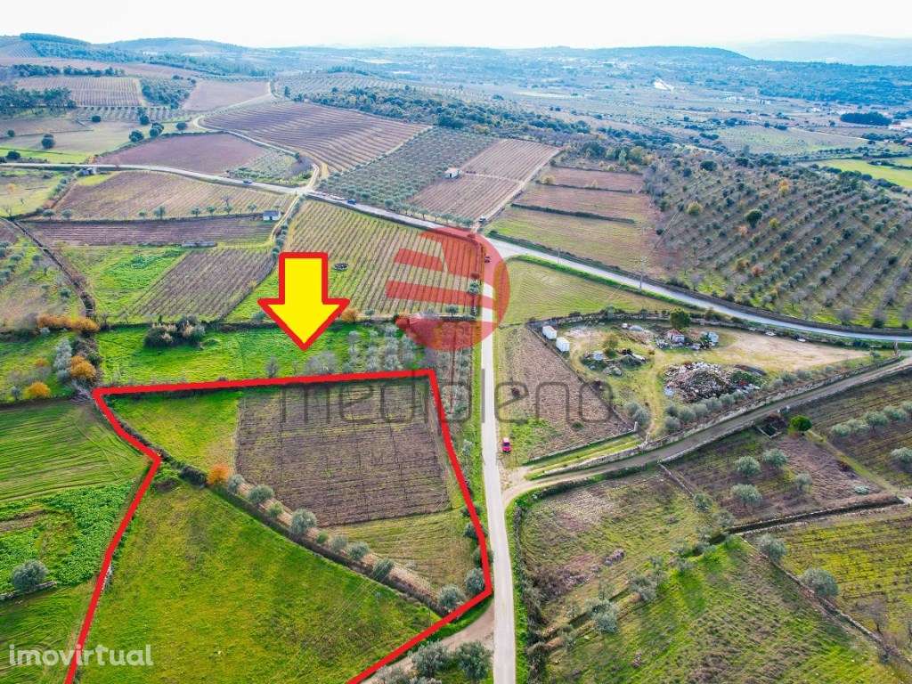 TERRENO RÚSTICO - Grande imagem: 3/6