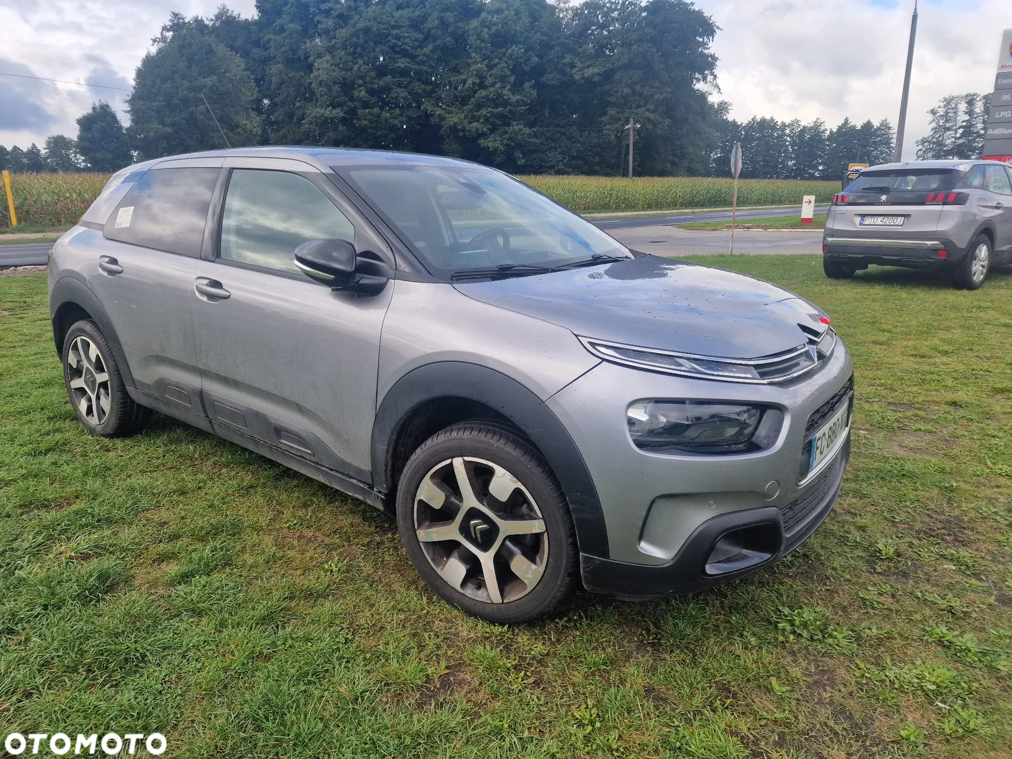 Citroën C4 Cactus 1.2 PureTech Origins S&S - 15