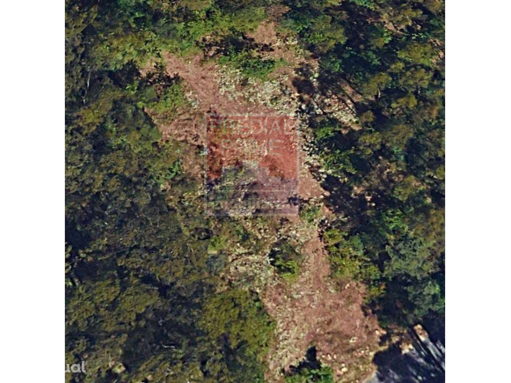 EXCELENTE TERRENO PARA INDÚSTRIA EM CUCUJÃES - Grande imagem: 3/4