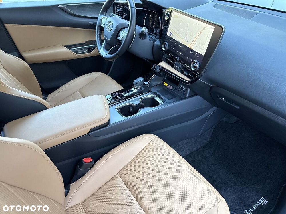 Lexus NX - 10