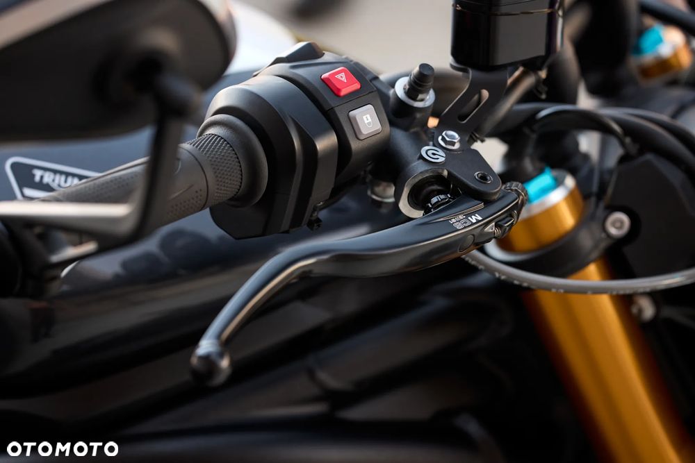 Triumph Speed Triple - 27