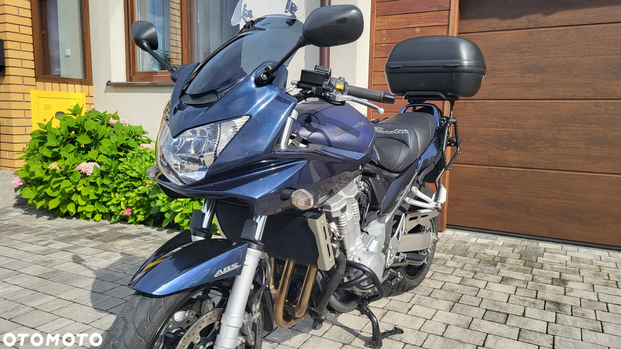 Suzuki Bandit - 19