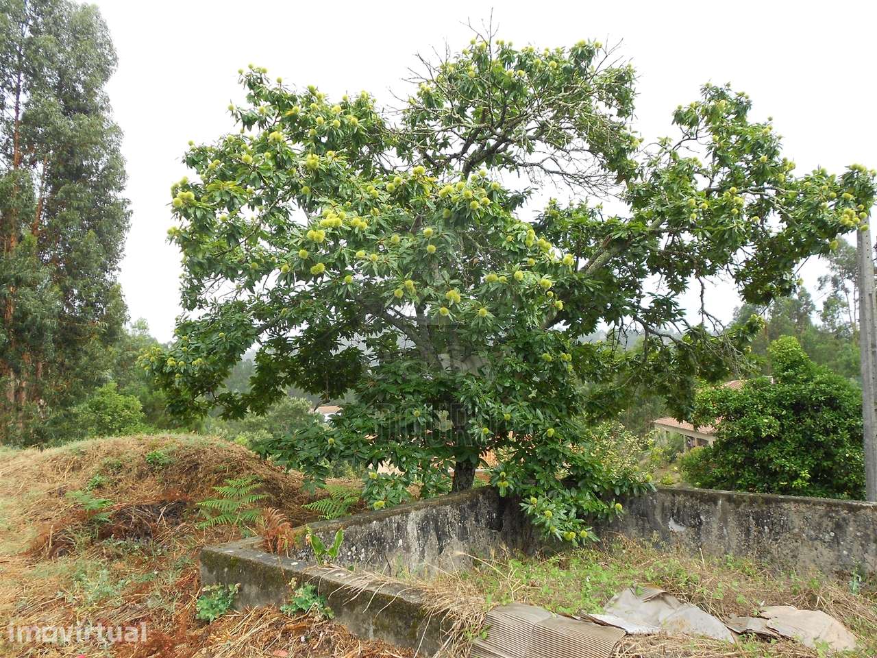 Terreno em Penafiel - Grande imagem: 4/27
