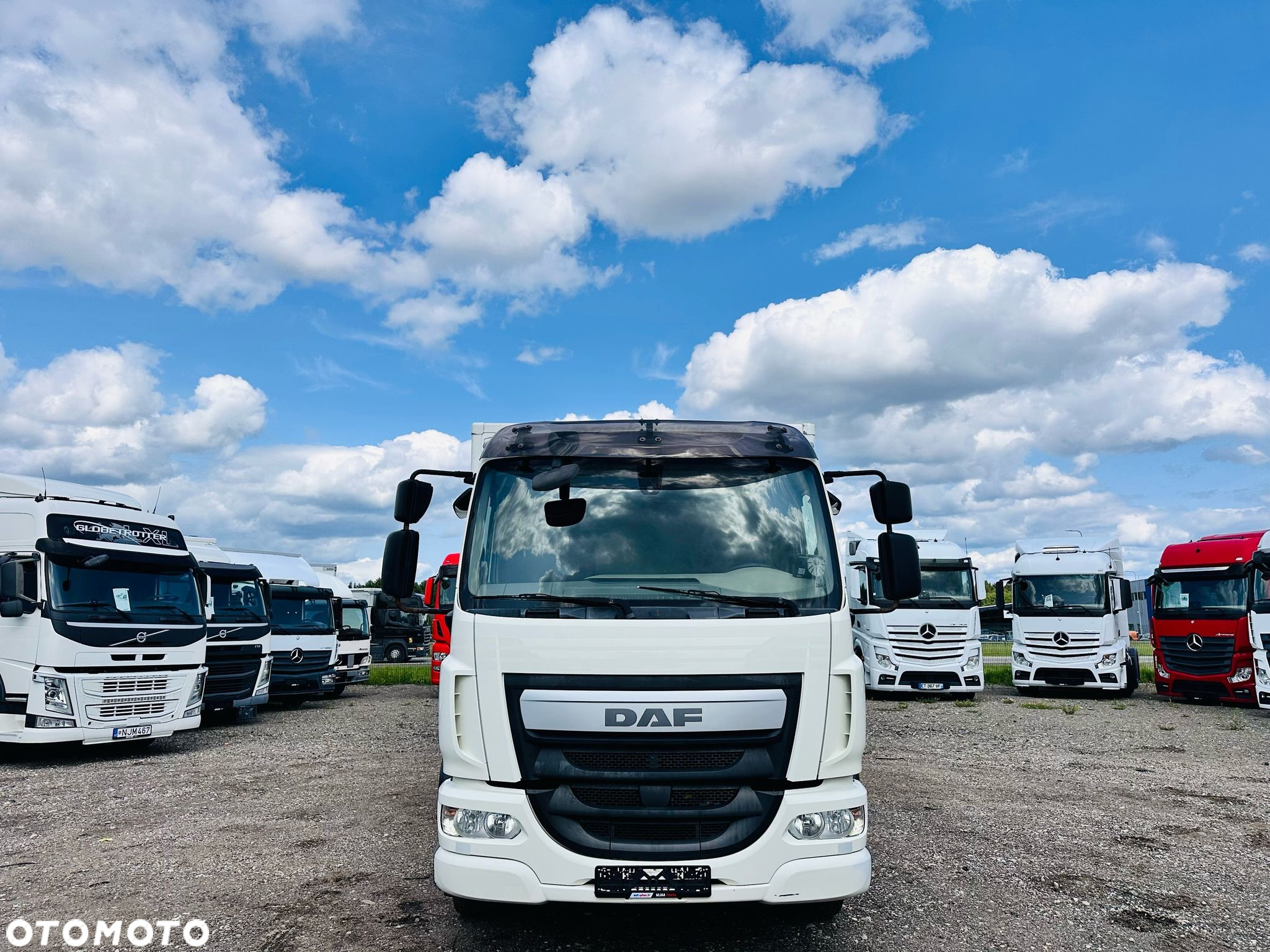 DAF LF 290 / CHŁODNIA  / DMC 16000kg - 2