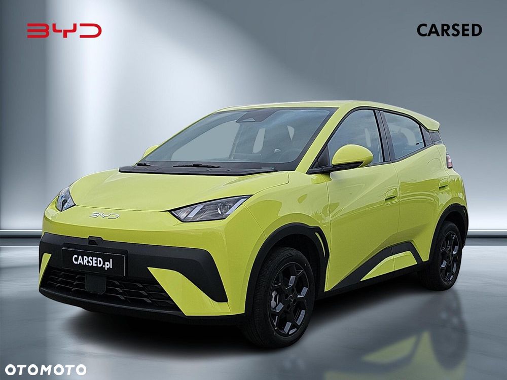 BYD Dolphin Surf - 1